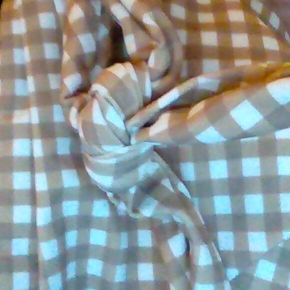 Brand New Prairie Swim Muskoka Bikini Bottom - Summer Gingham - Picture 7 of 8